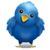 follow us on twitter follow us on twitter